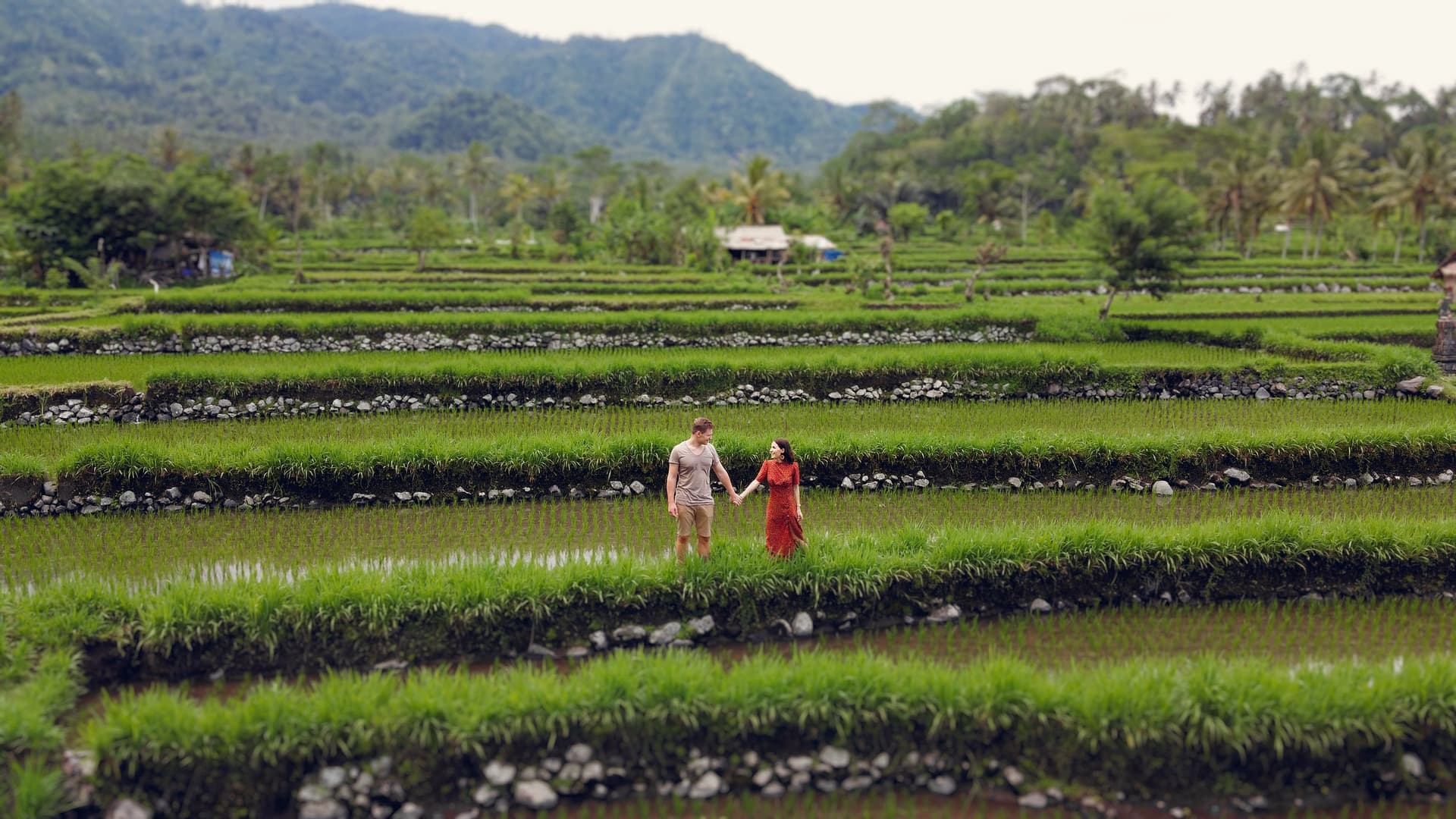 itinerary slow travel bali 7 hari tanpa terburu buru - wisata desa lokal ubud bali couple sawah