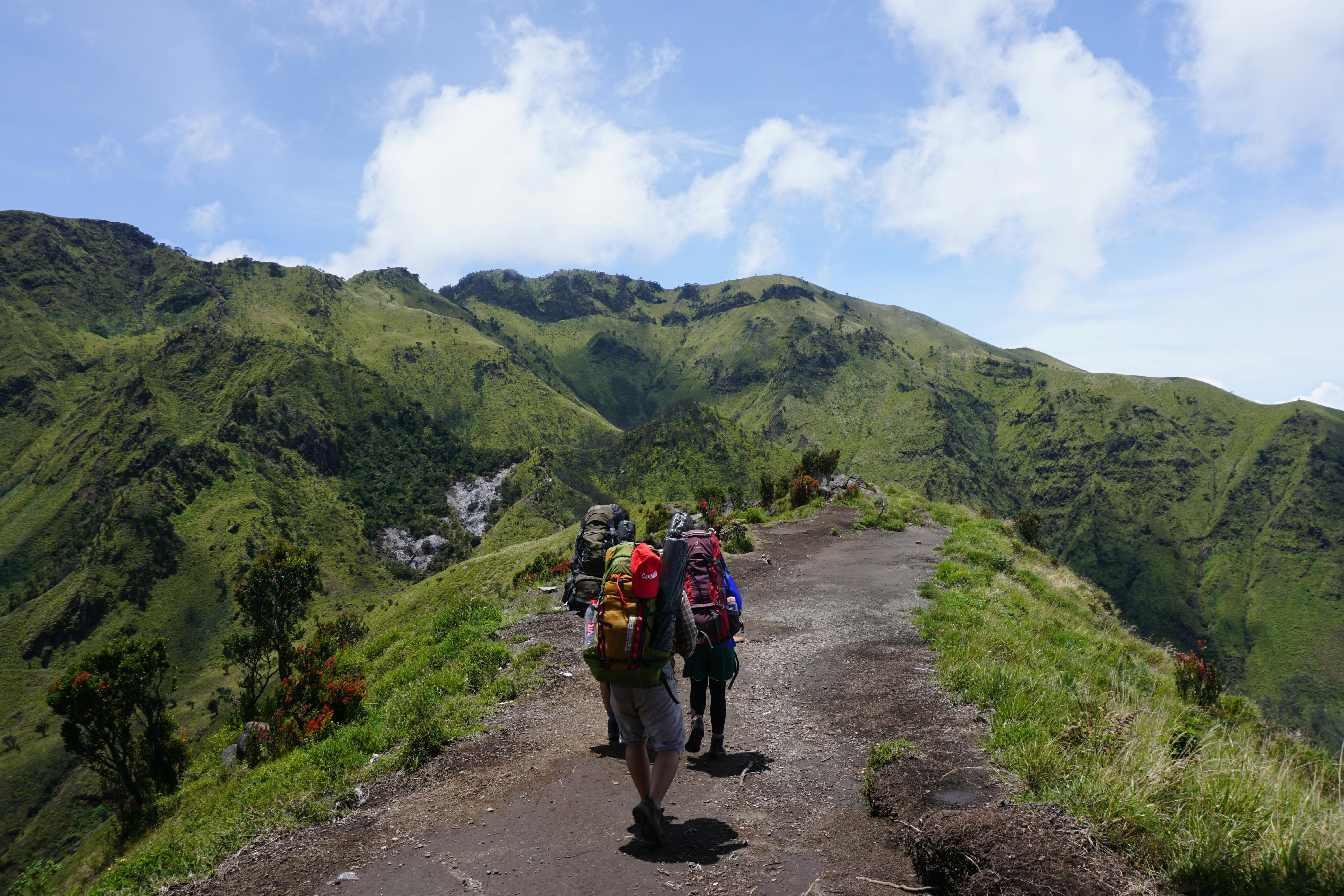 backpacker petualangan alam indonesia - menikmati udara segar di tengah bentang alam hijau